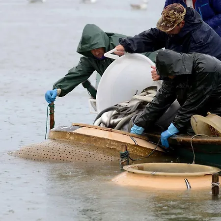 Oda ve Kahvaltı La Fortezza Comacchio