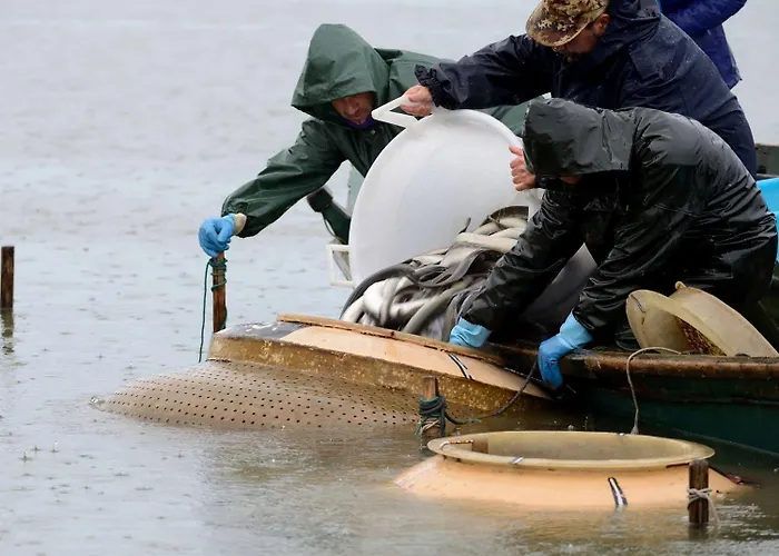 Bed & Breakfast La Fortezza Comacchio